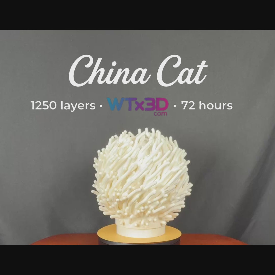 WTx3D-China-Cat-Flagship-3D-Printed-Lamp-White-PLA-Lit-Unlit-mp4-6sec